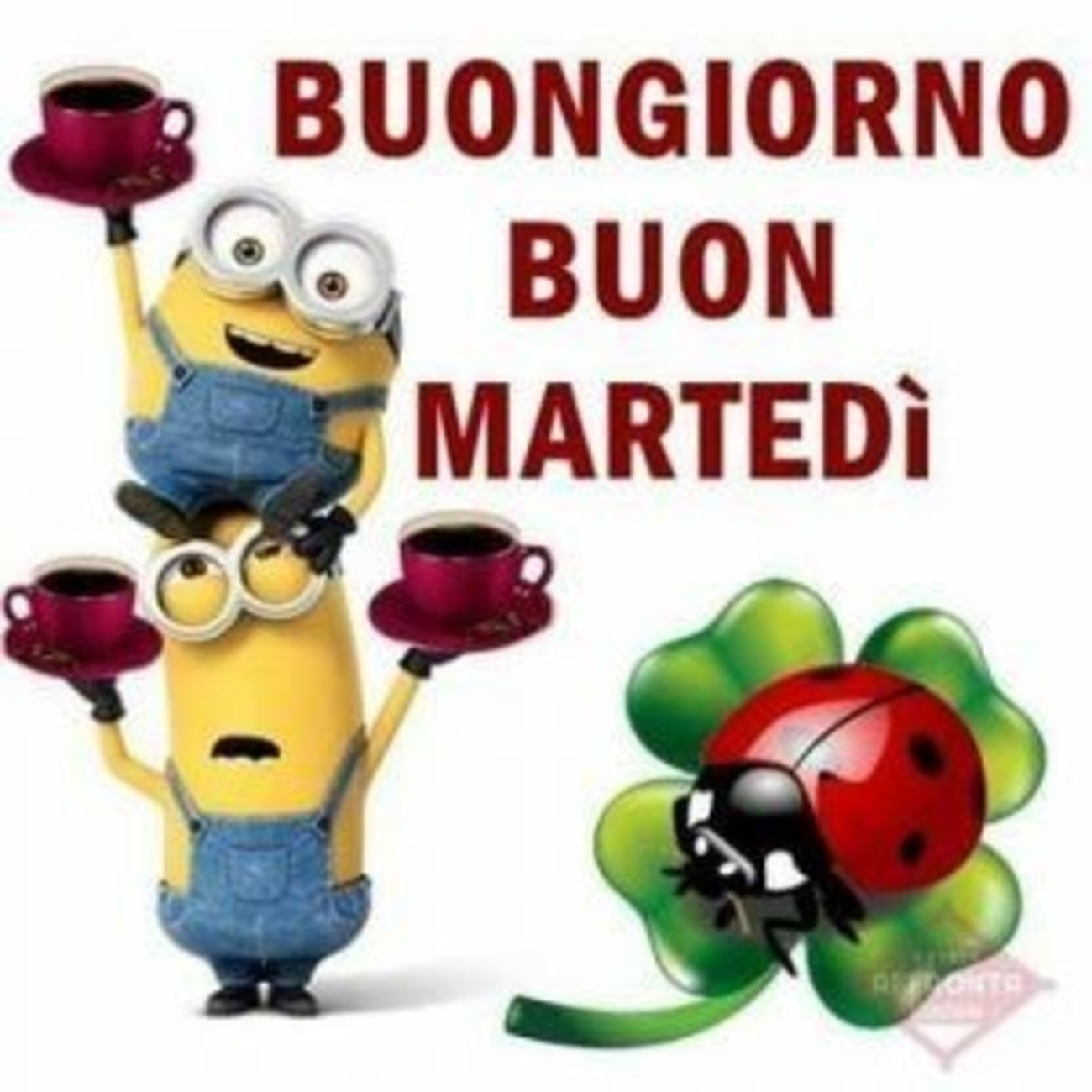 Buon martedì con minions