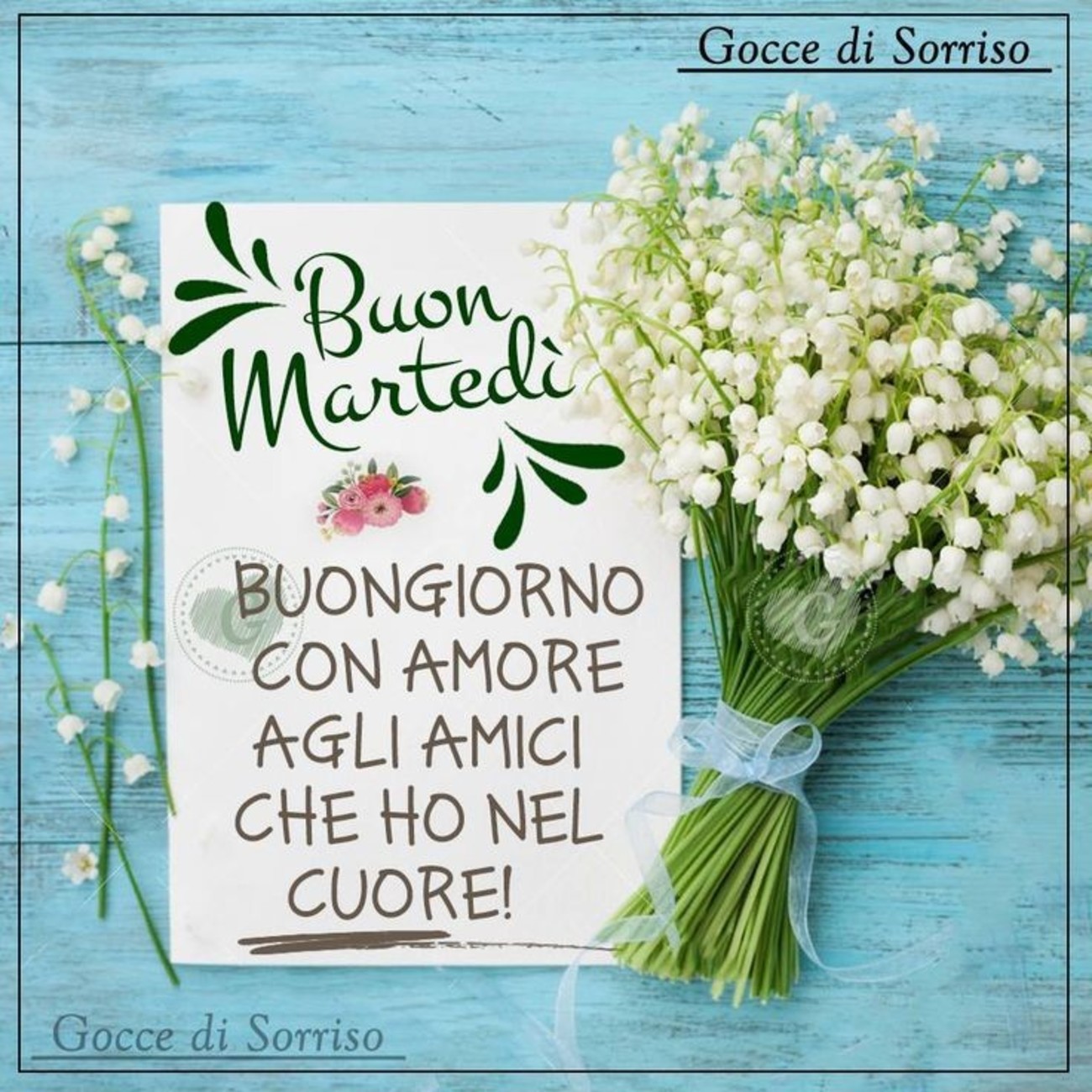 Buon martedì di cuore amici