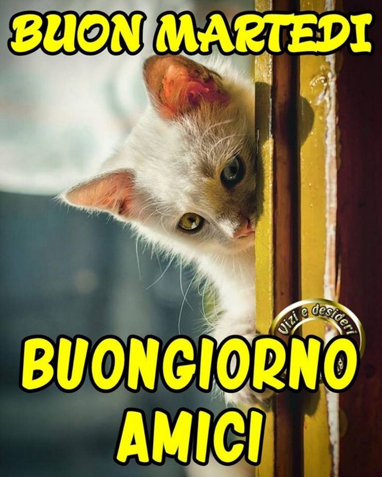 Buon martedì e buongiorno amici