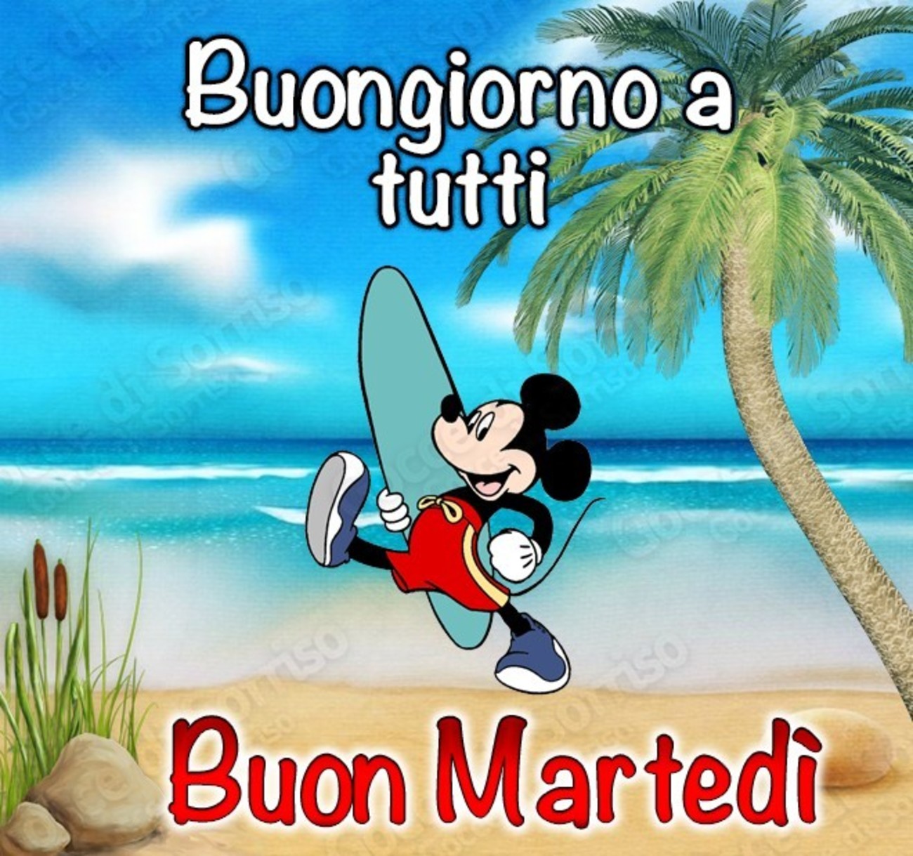 Buon martedì estivo