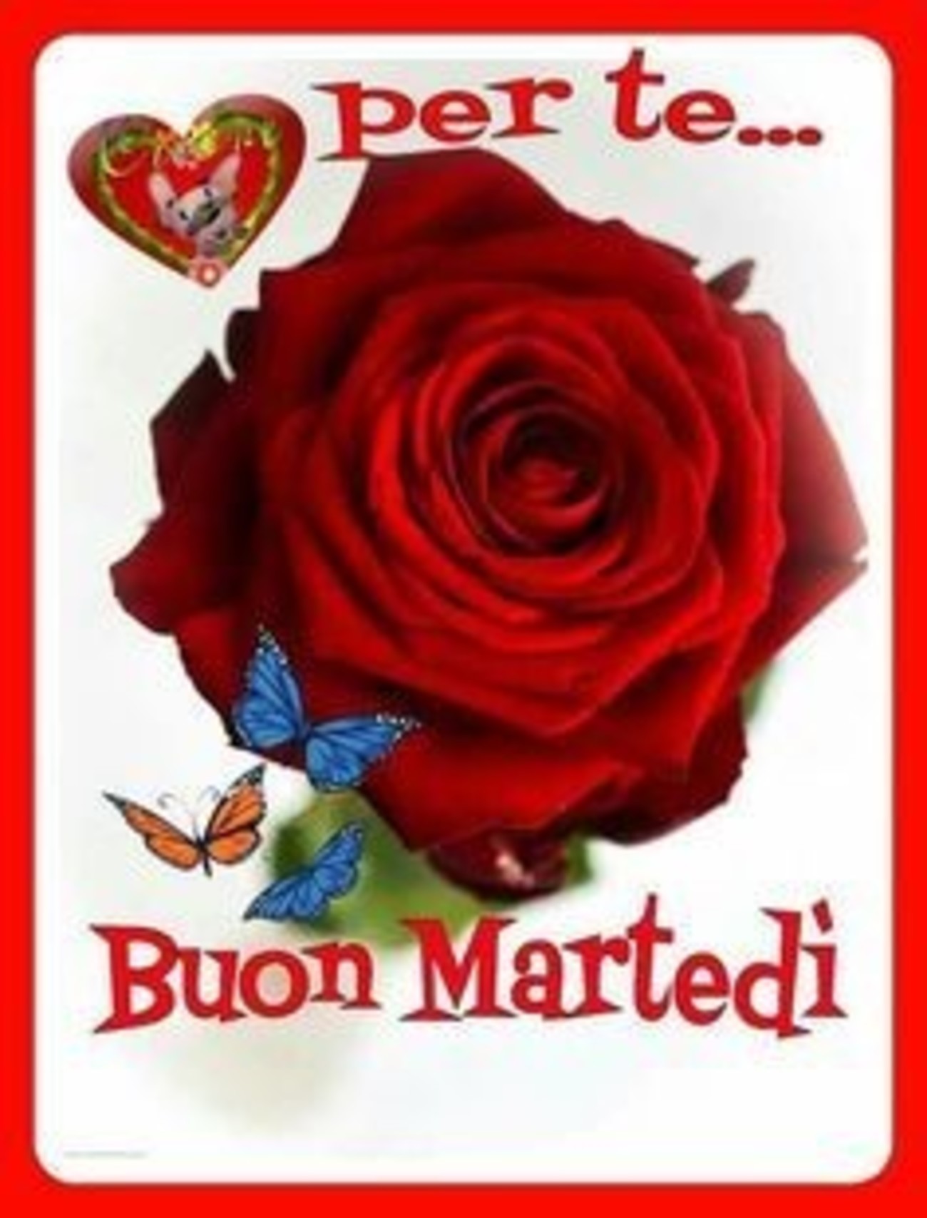 Buon martedì per te