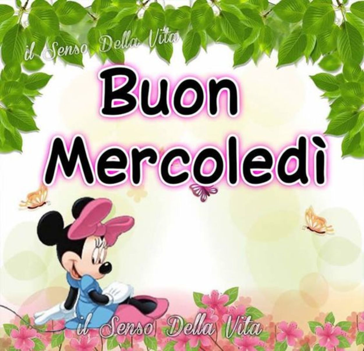 Buon mercoledì a te