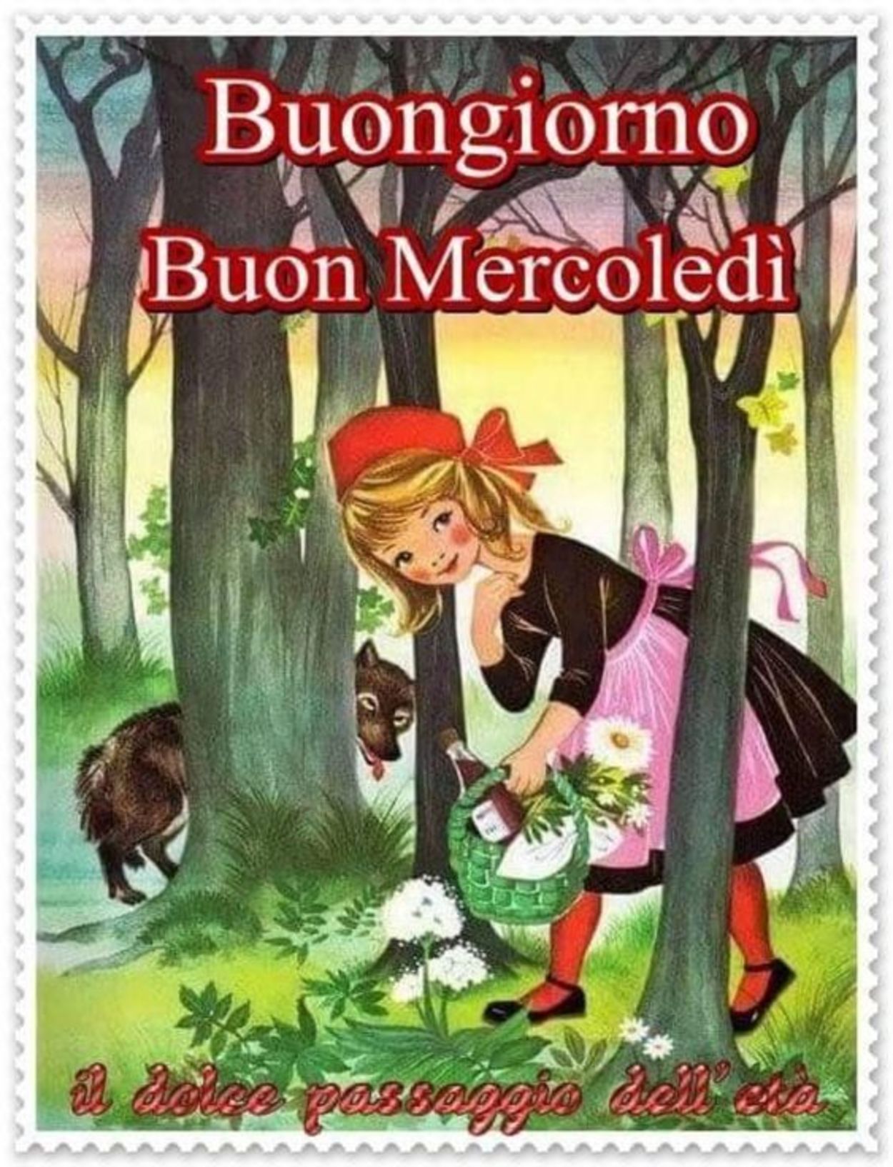 Buon mercoledì a tutti (5)