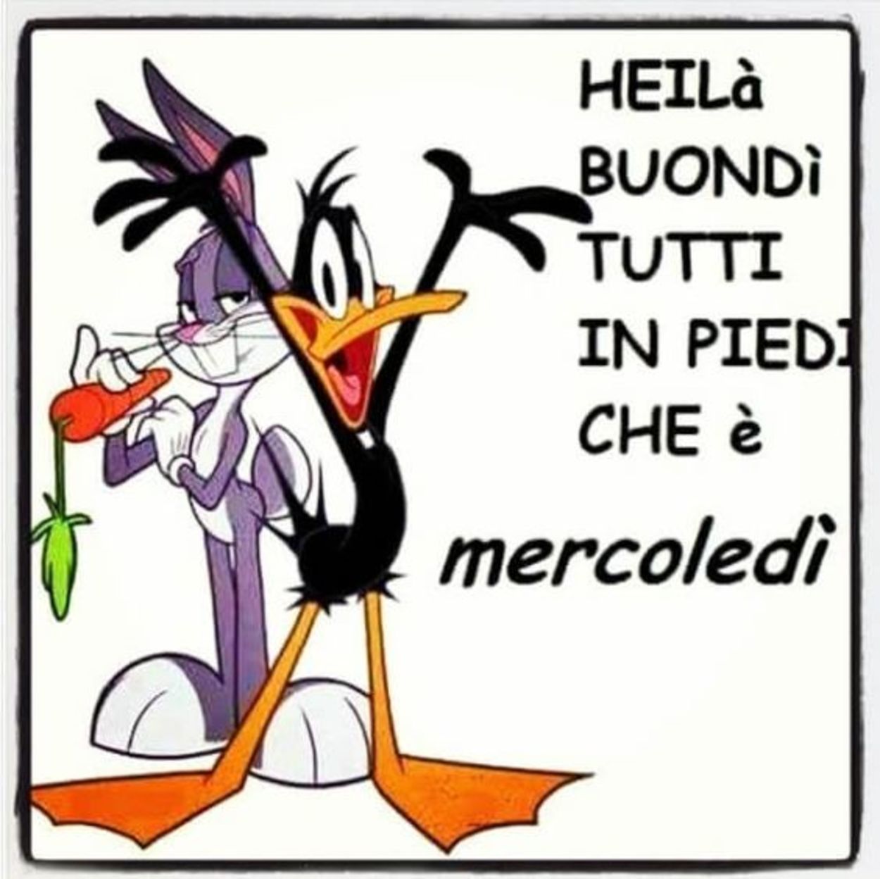 Buon mercoledì a tutti (6)