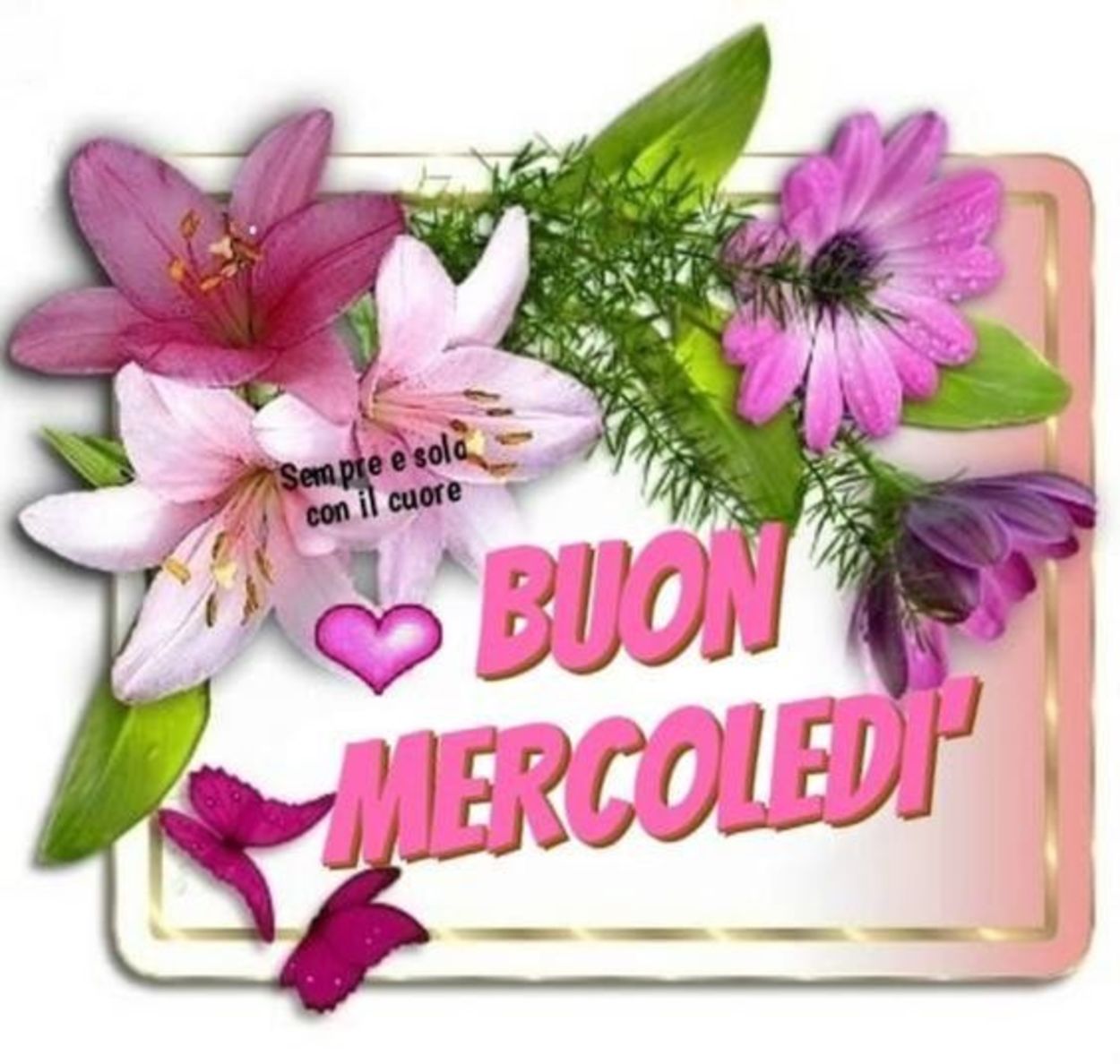 Buon mercoledì amica cara