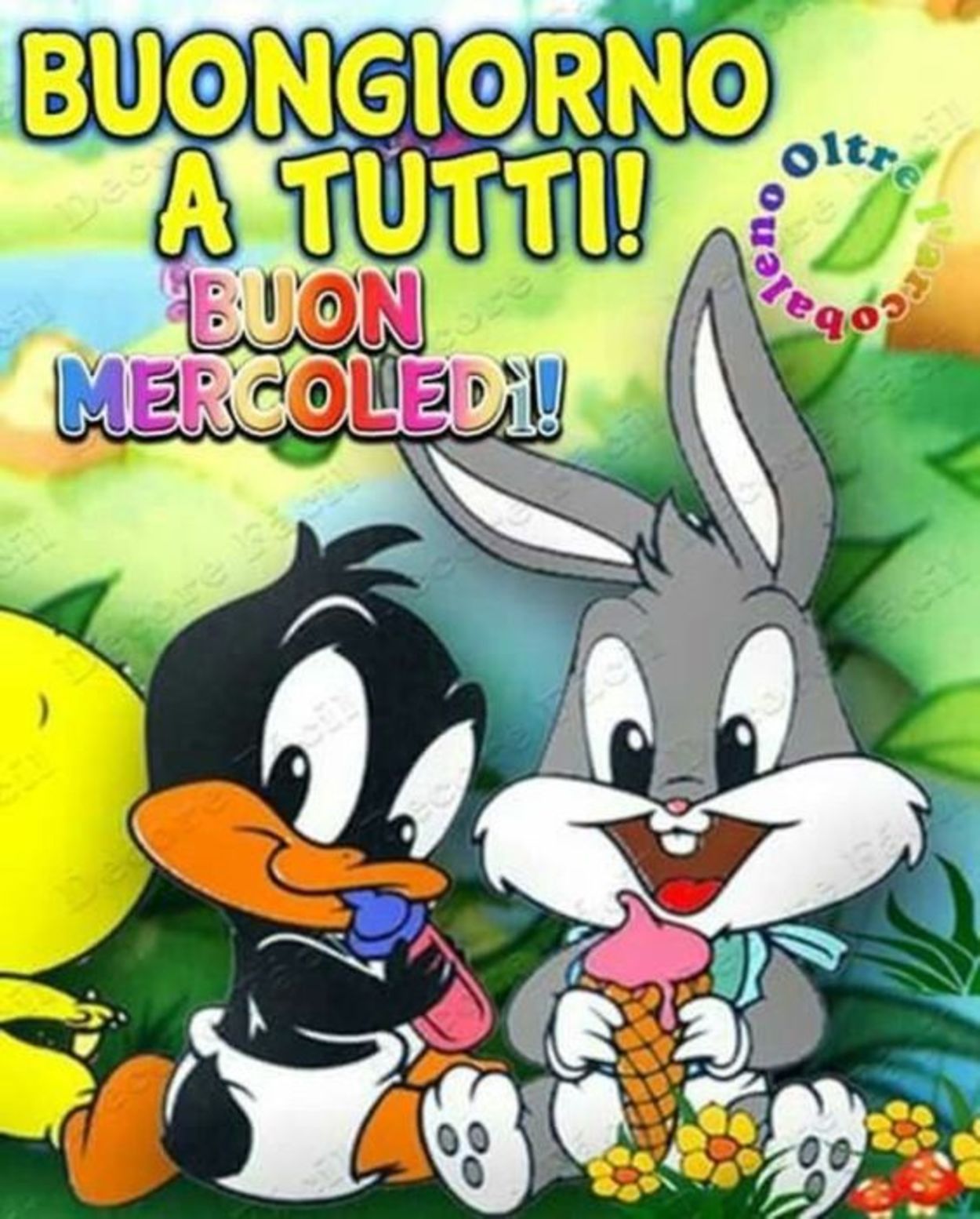 Buon mercoledì amici miei (2)