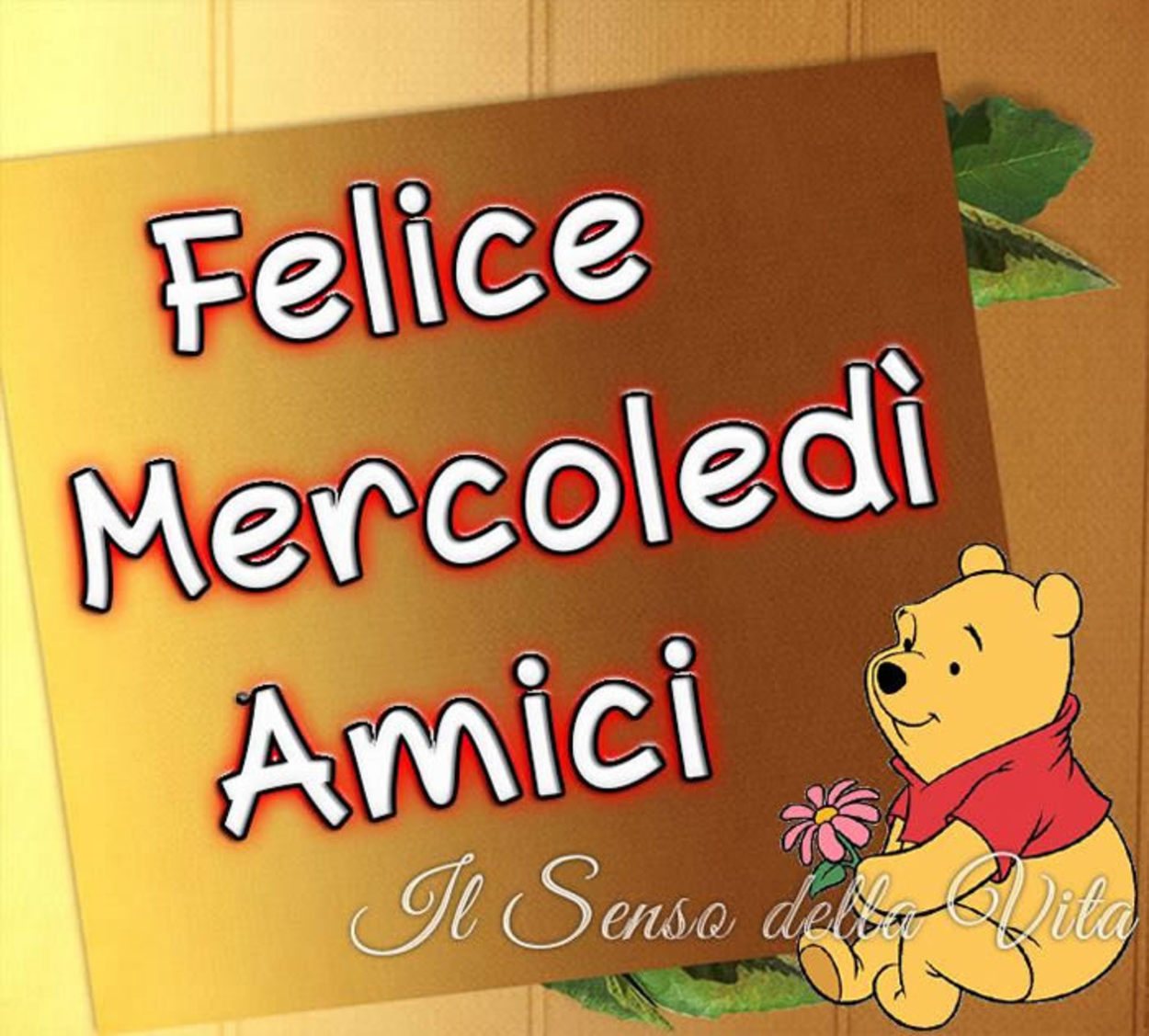 Buon mercoledì amici miei