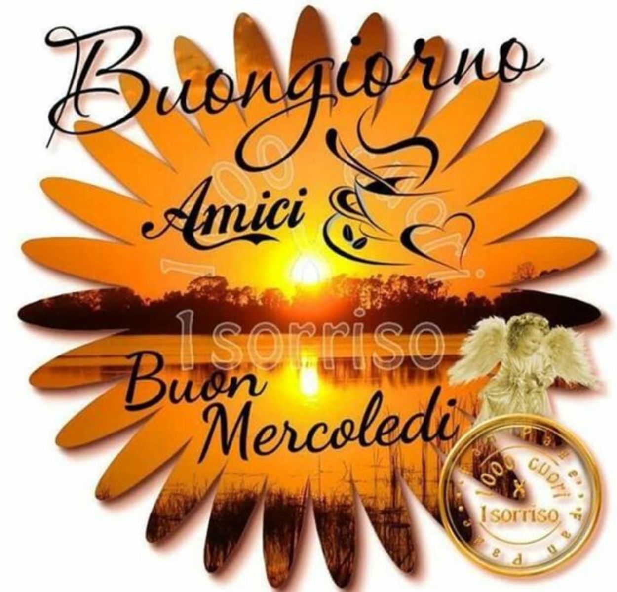 Buon mercoledì amici