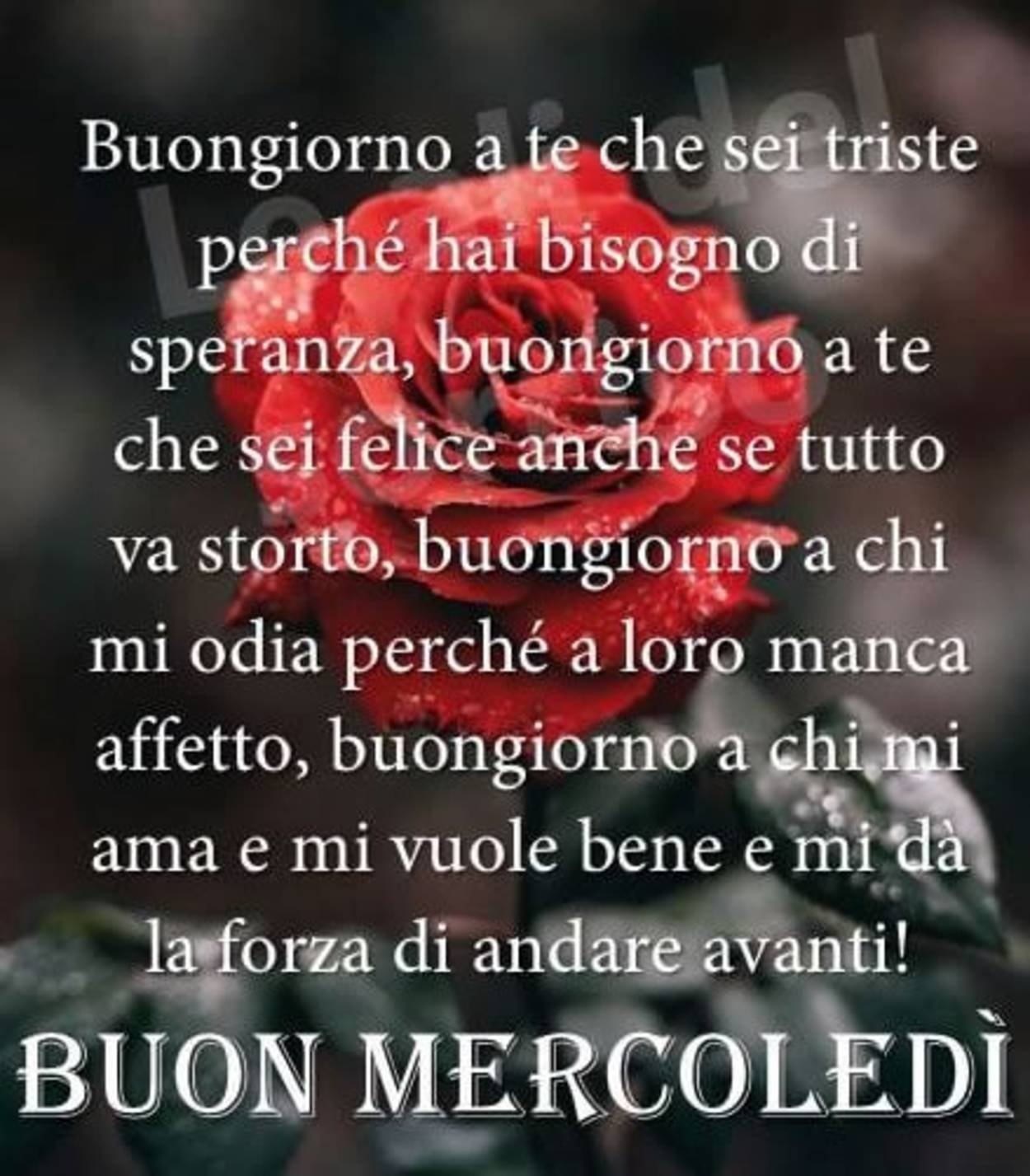 Buon mercoledì belle frasi da mandare