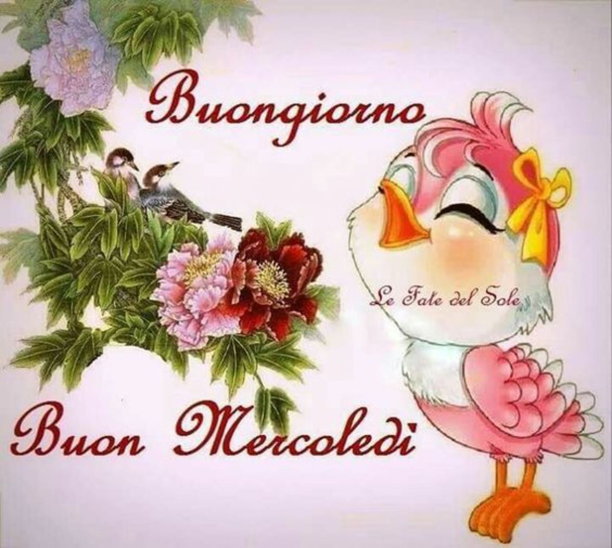 Buon mercoledì belle immagini