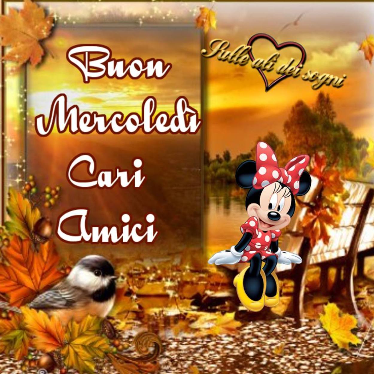 Buon mercoledì cari amici