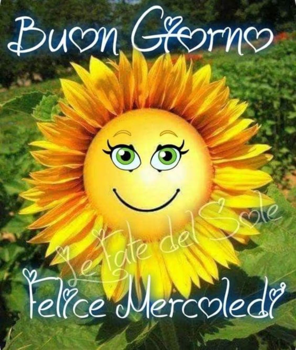 Buon mercoledì col sorriso