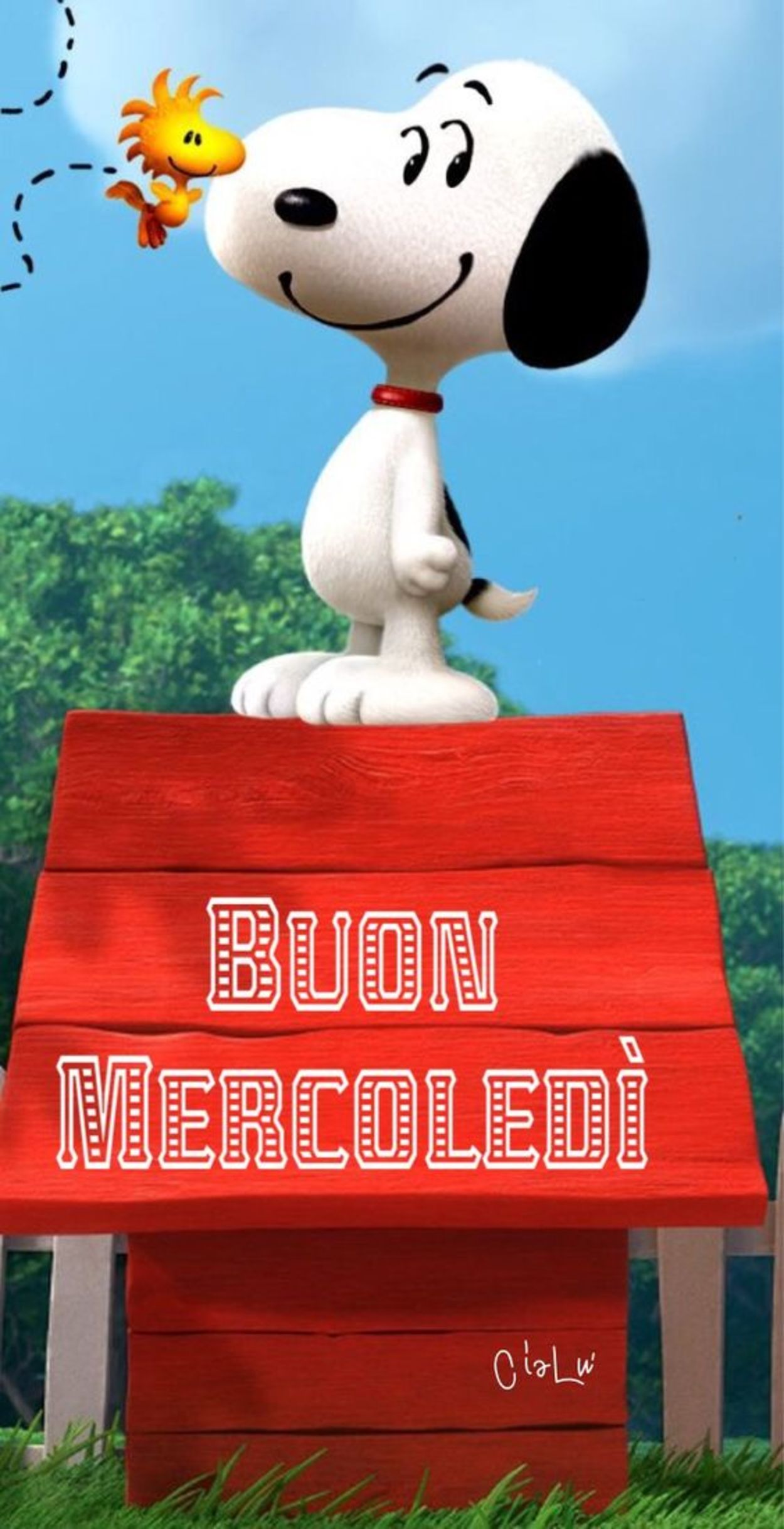 Buon mercoledì con Snoopy (3)