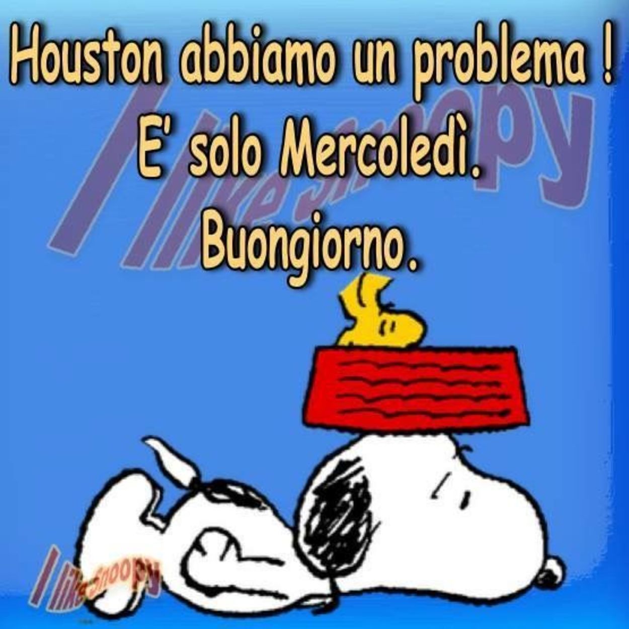 Buon mercoledì con Snoopy (4)