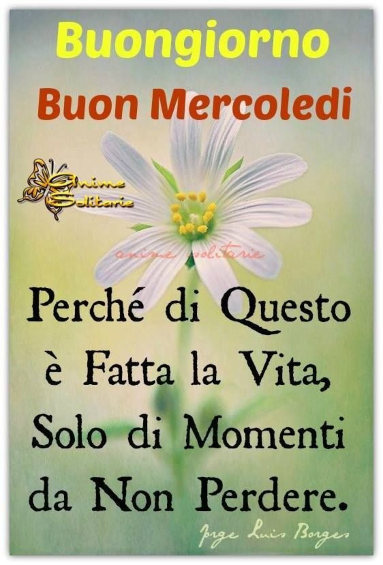 Buon mercoledì con belle frasi