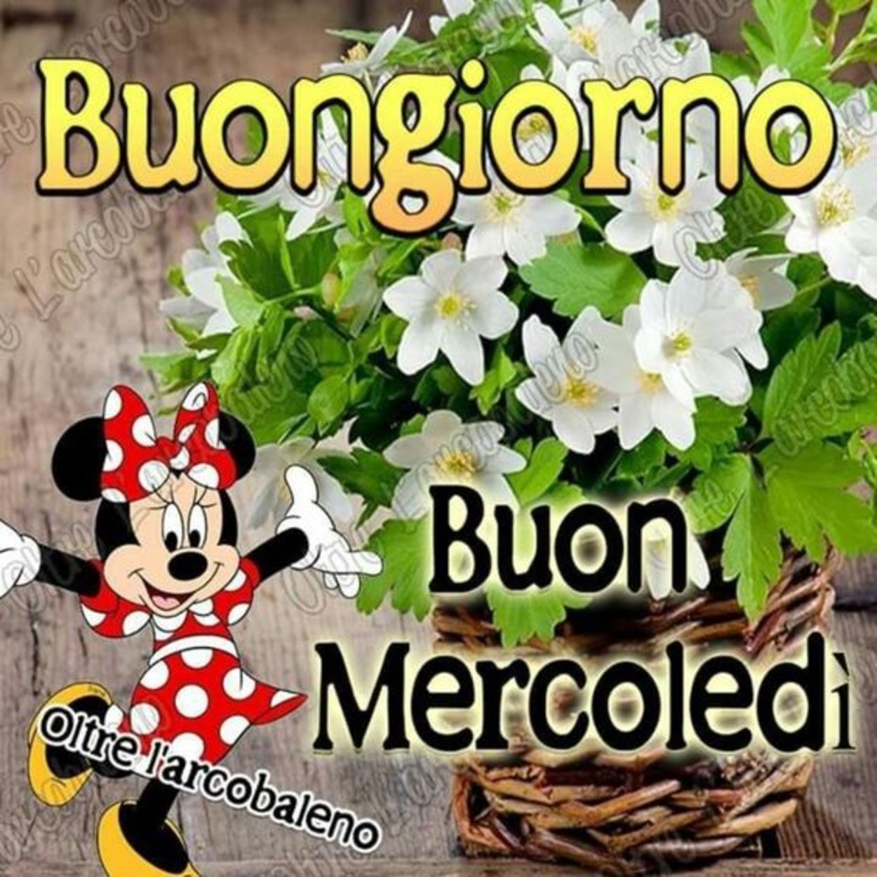 Buon mercoledì con disney