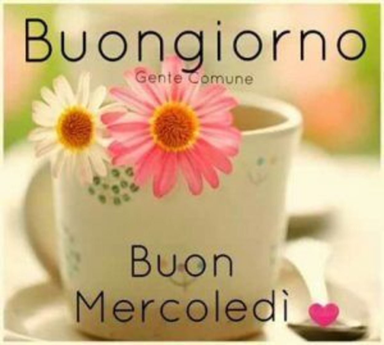 Buon mercoledì con fiori