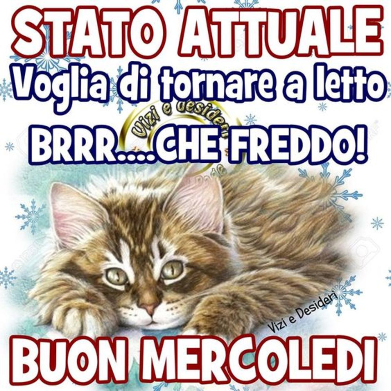 Buon mercoledì con il freddo (3)