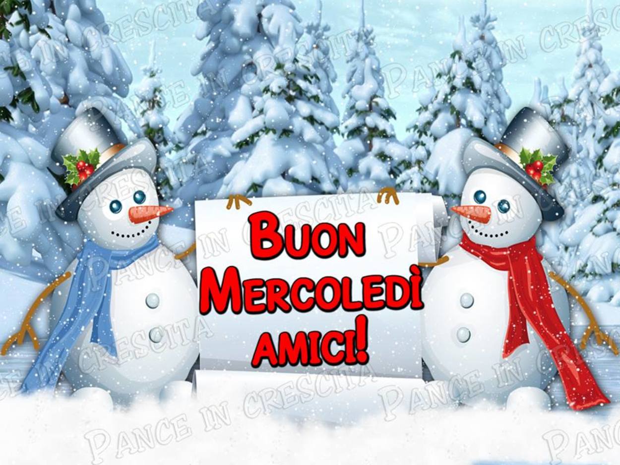 Buon mercoledì con la neve (3)