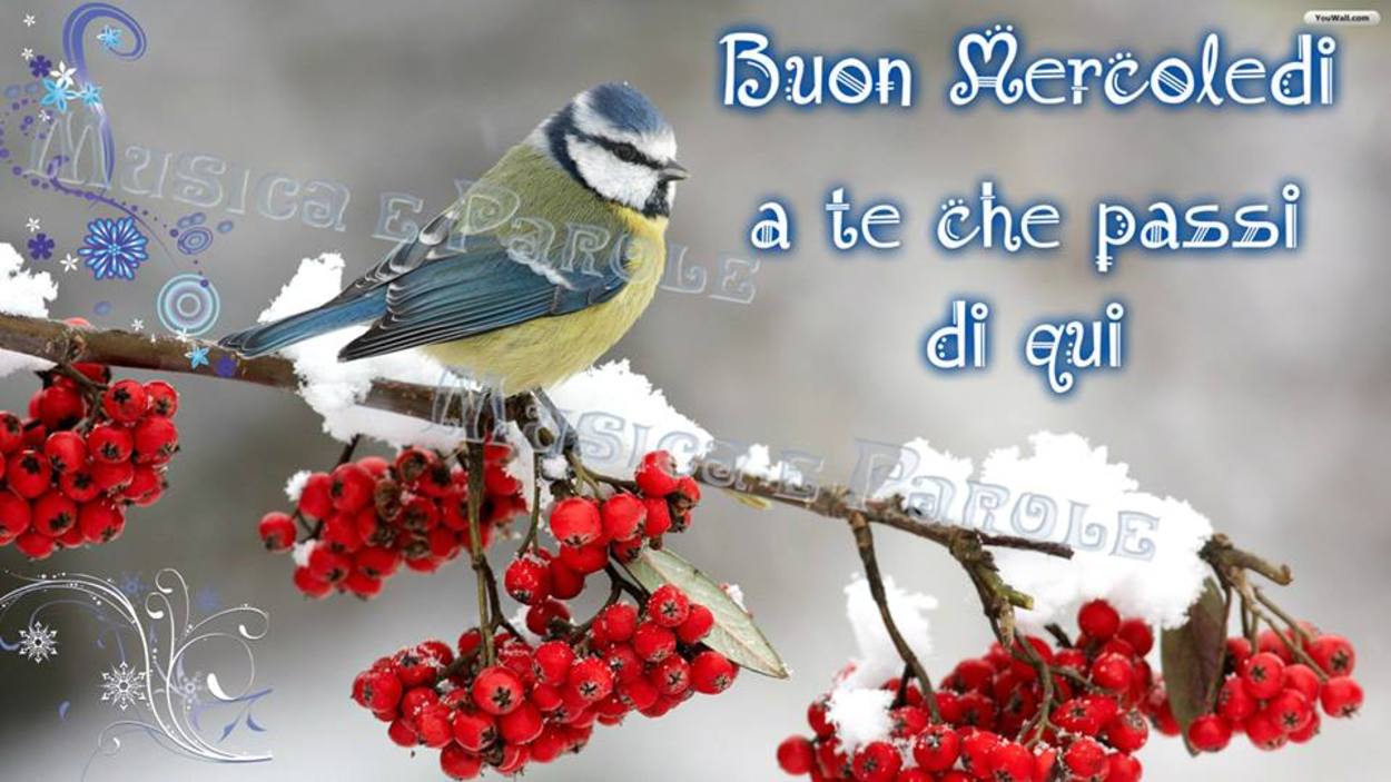 Buon mercoledì con neve