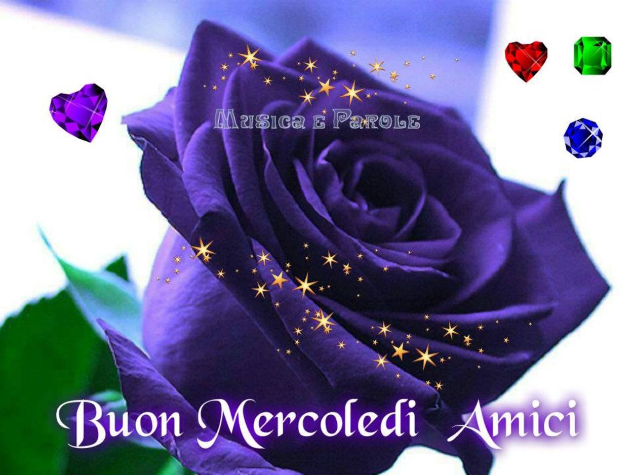 Buon mercoledì con rosa