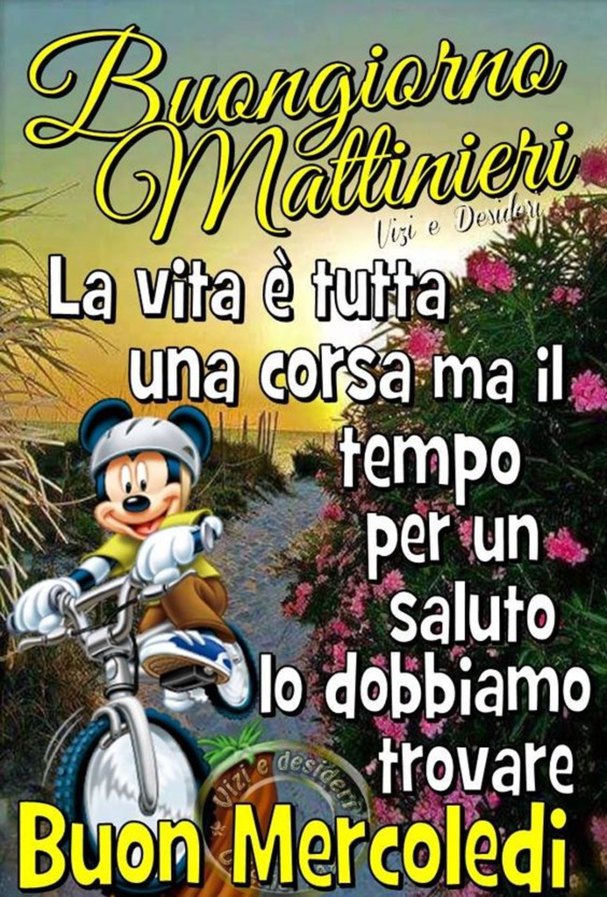 Buon mercoledì frasi belle