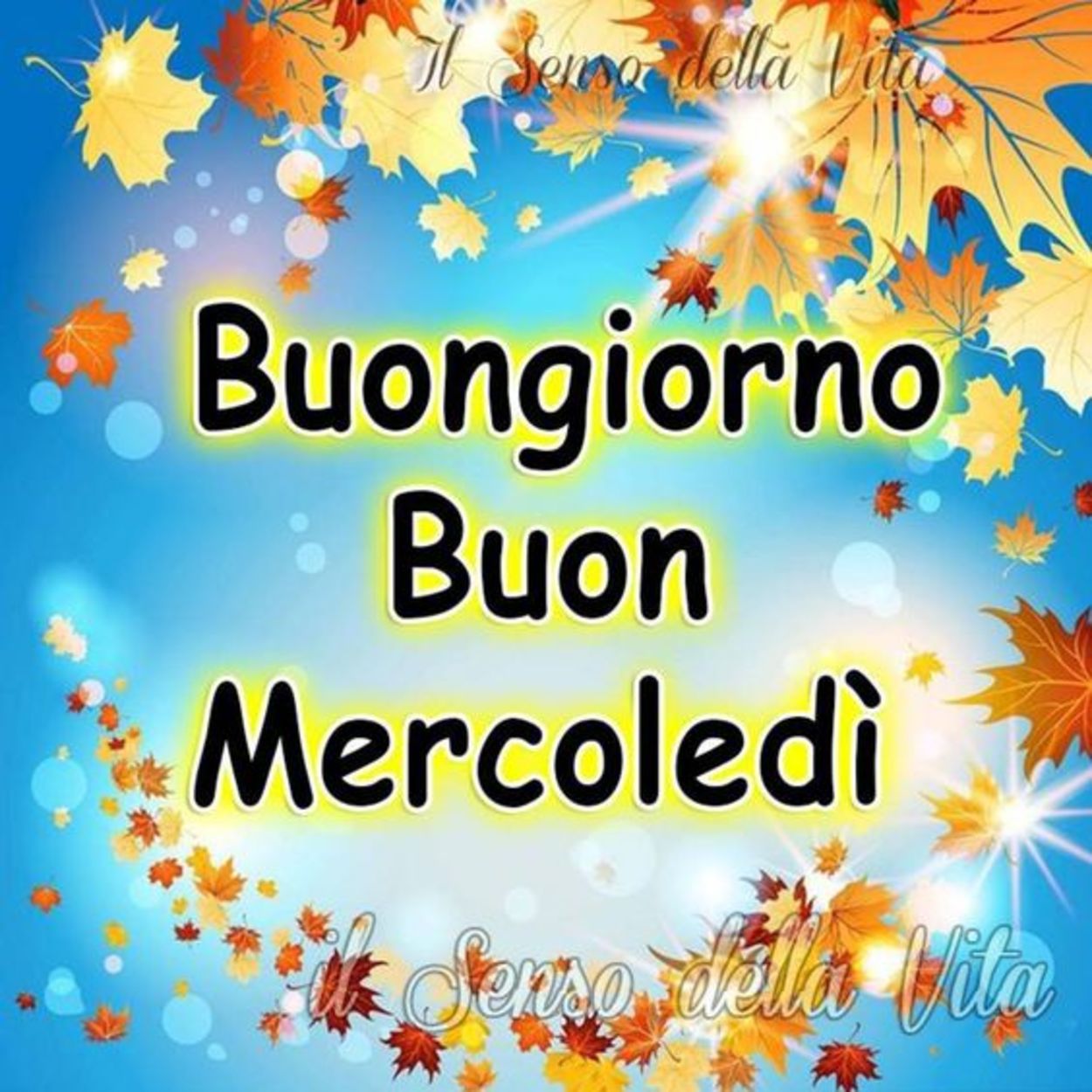 Buon mercoledì imamgini buongiorno