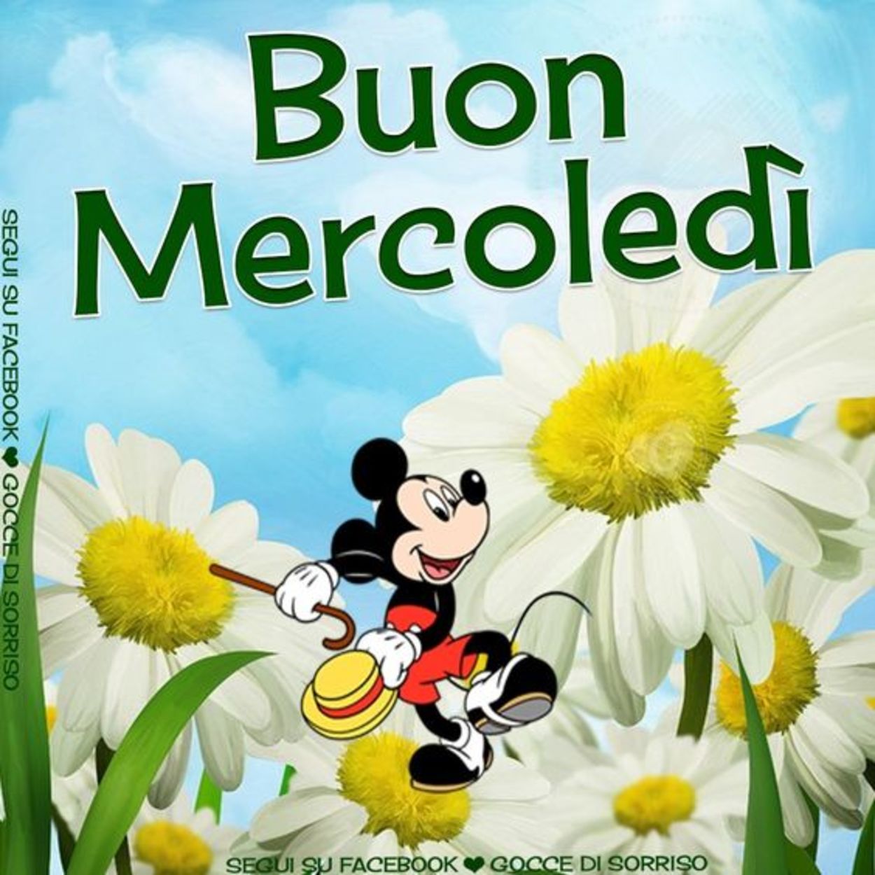 Buon mercoledì immagini nuove gratis