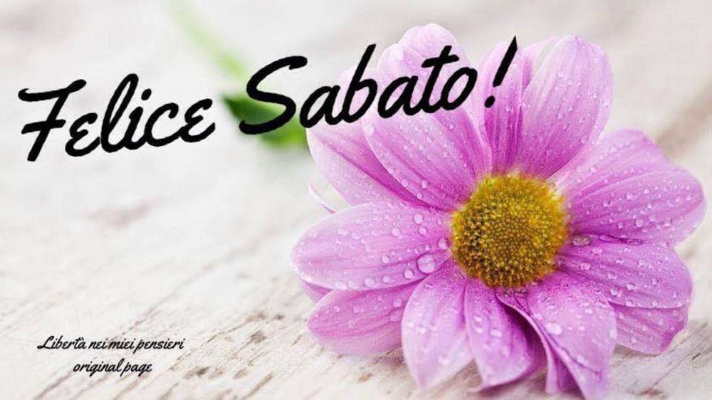 Buon sabato con fiori (1)