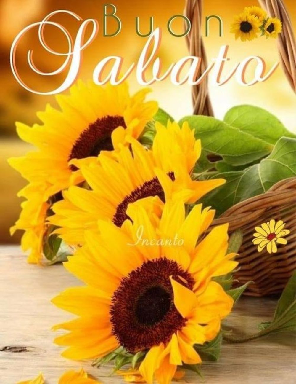 Buon sabato con fiori (4)
