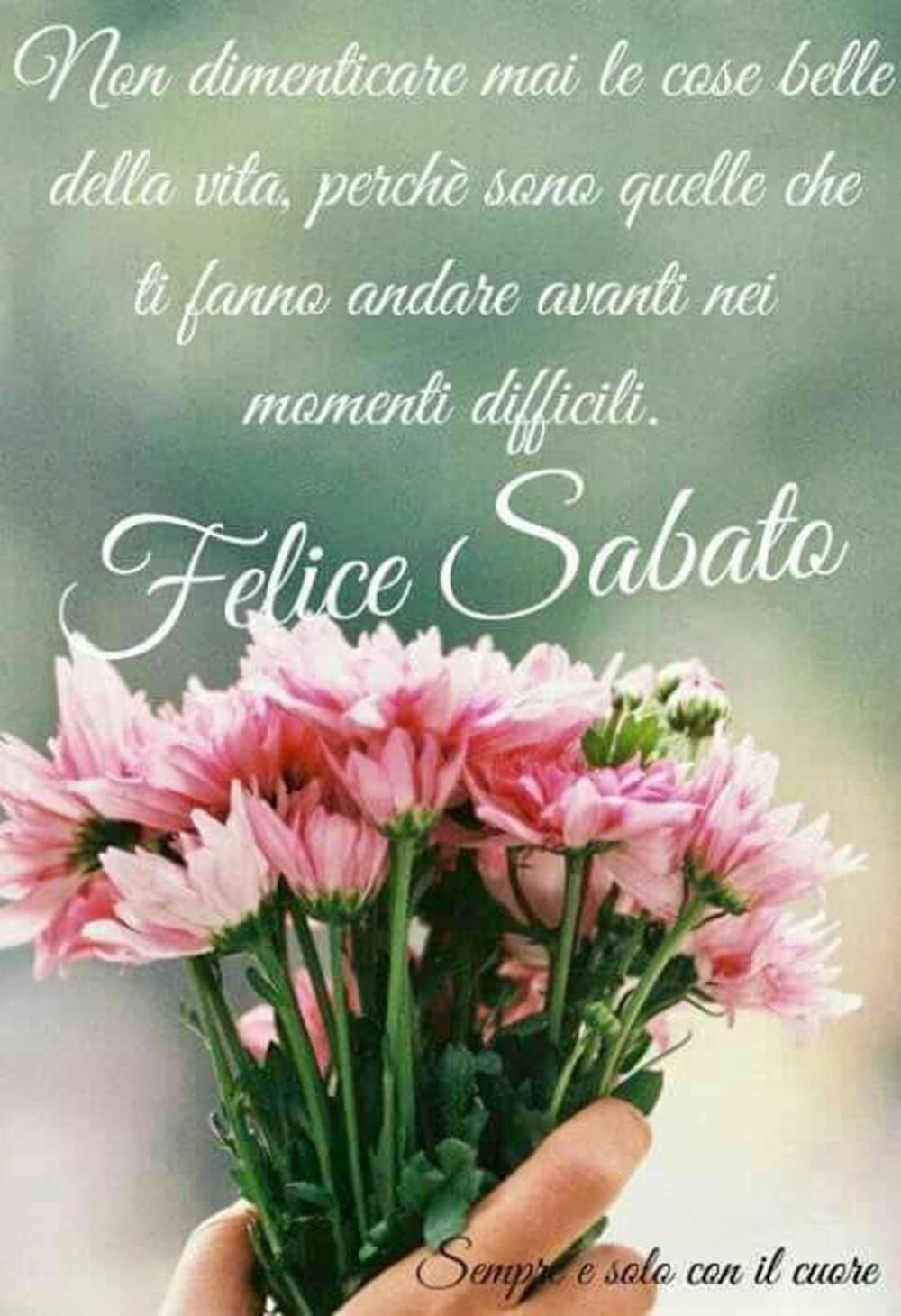 Buon Sabato Con I Fiori 4 Buongiornoate It