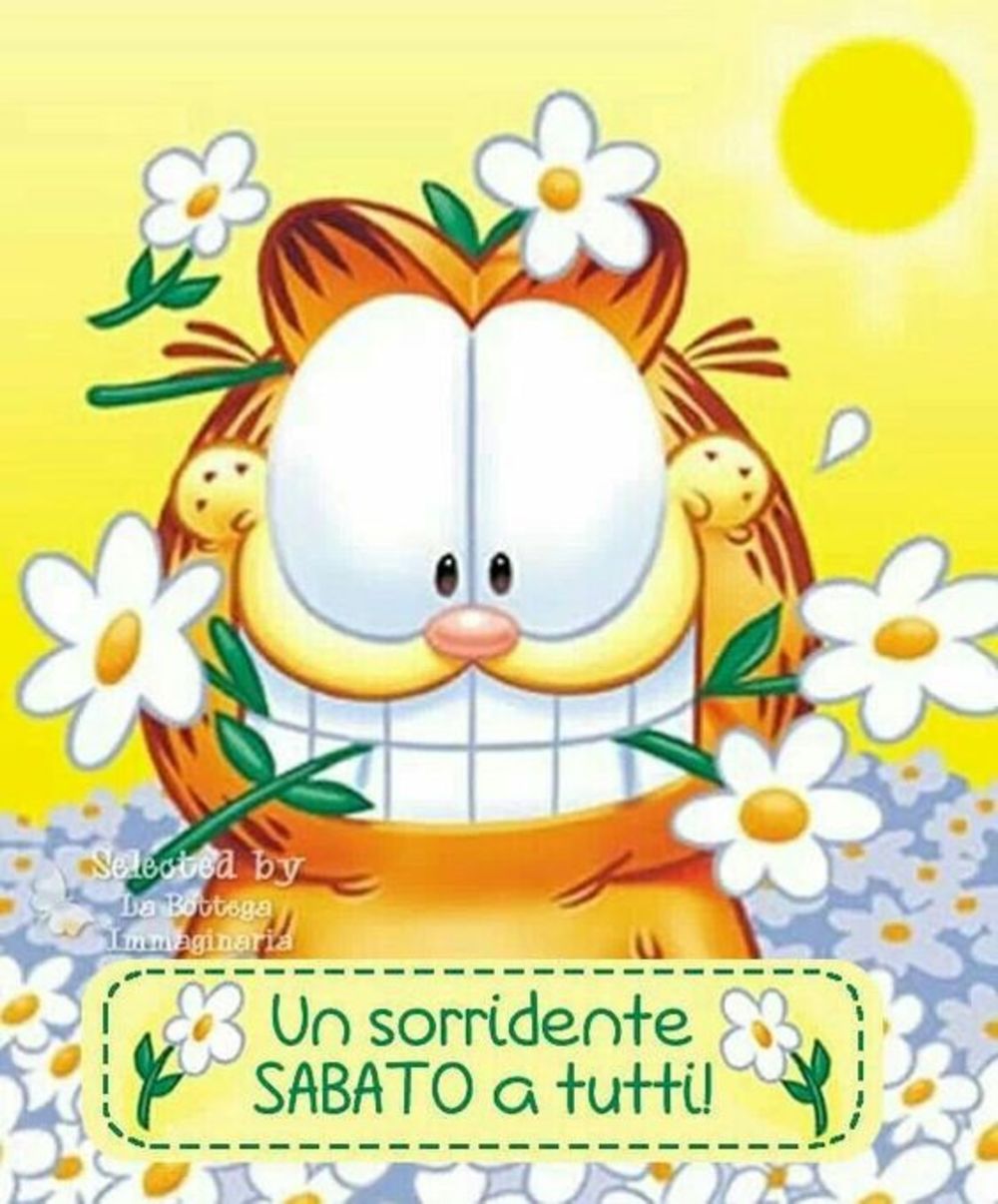 Buon sabato garfield