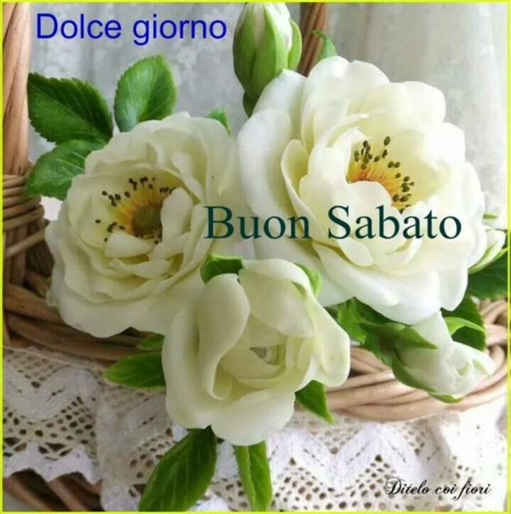 Buon Sabato Immagini Con Fiori 7 Buongiornoate It