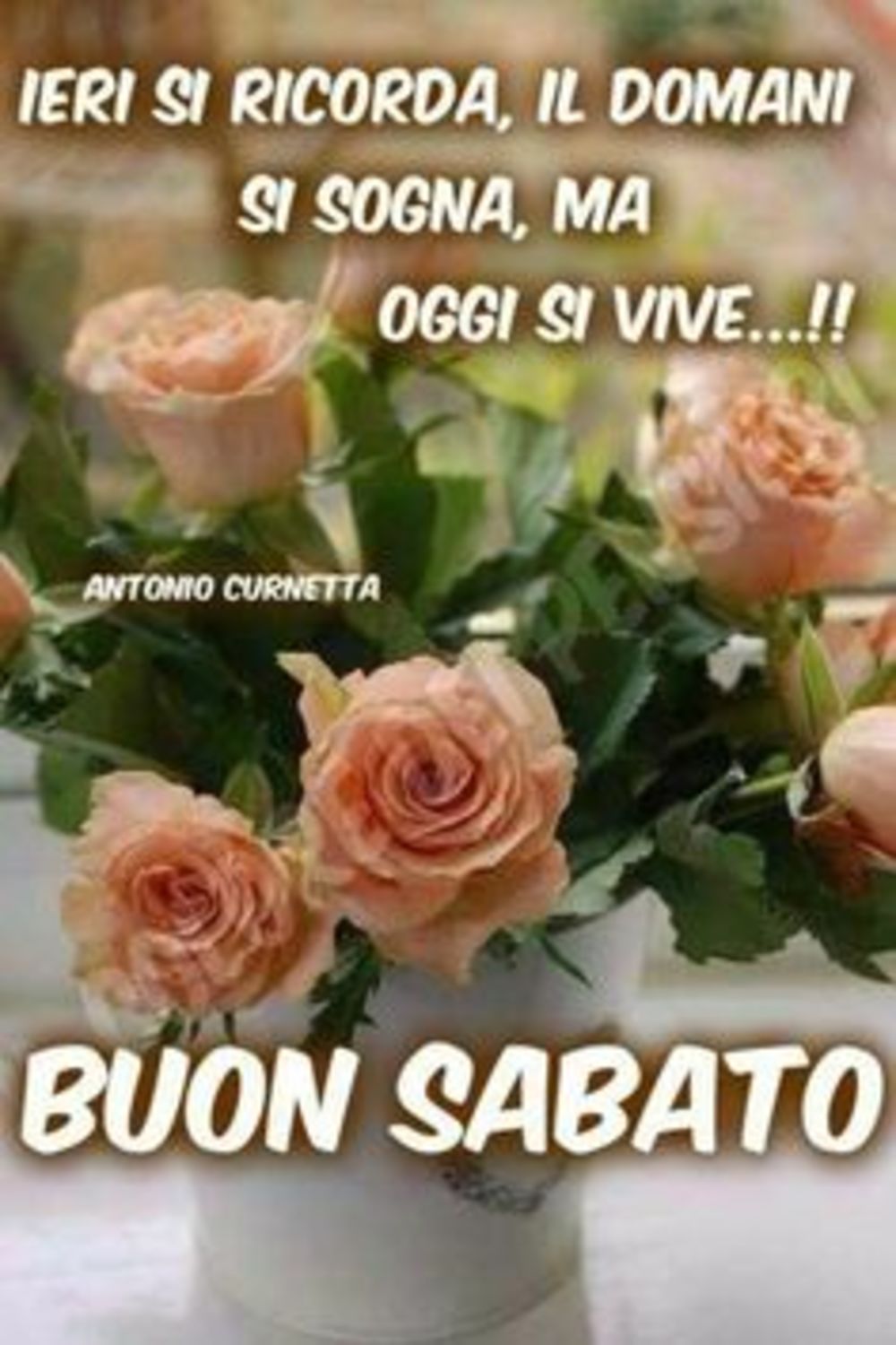 Buon sabato immagini gratis (3)