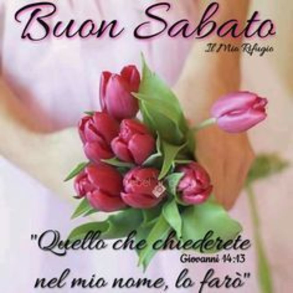 Buon sabato immagini per whatsapp (5)