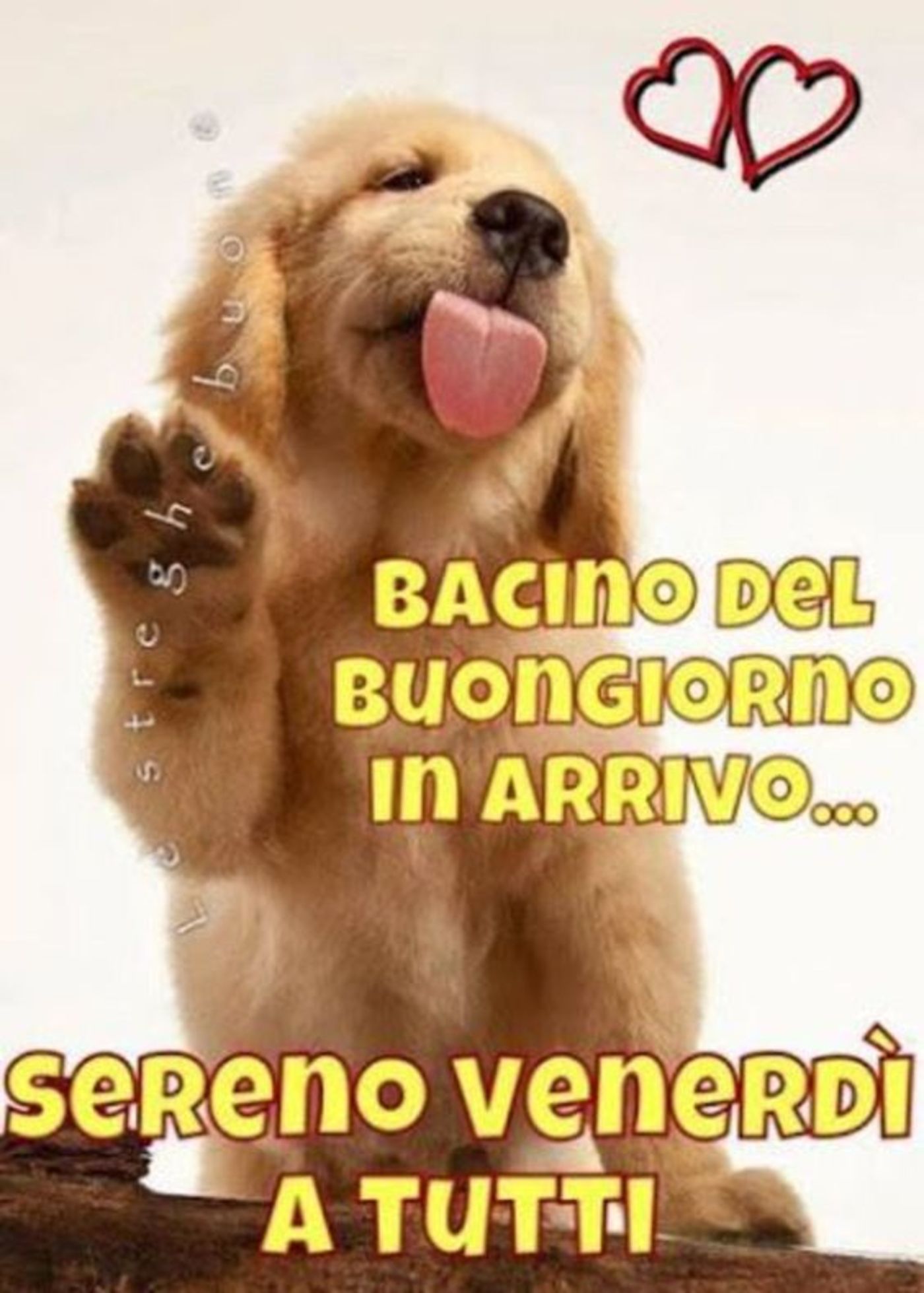 Buon venerdì a tutti con bacio