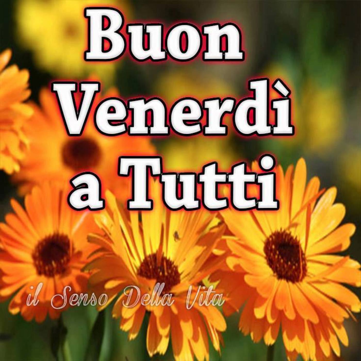 Buon venerdì a tutti fiori