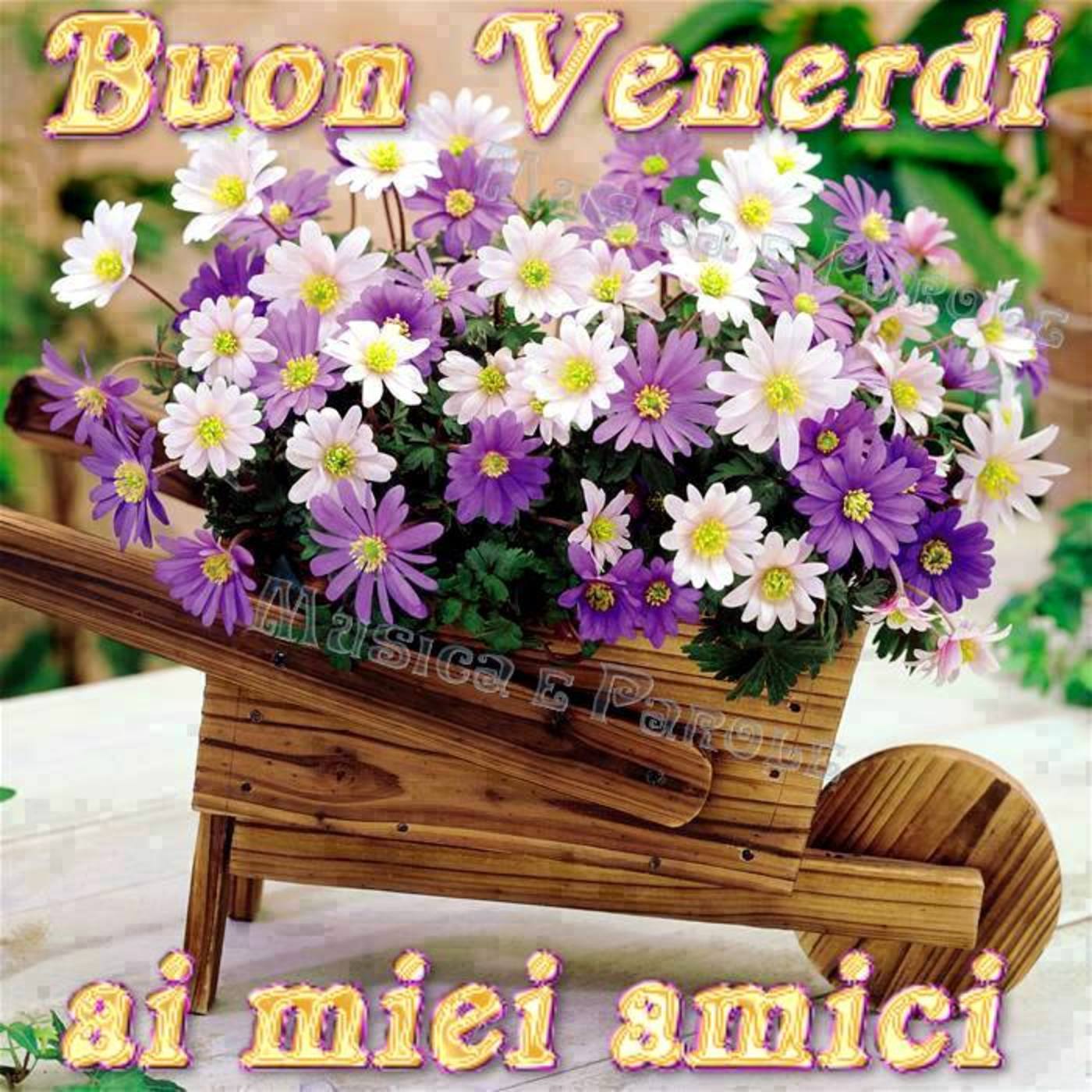 Buon venerdì ai miei amici