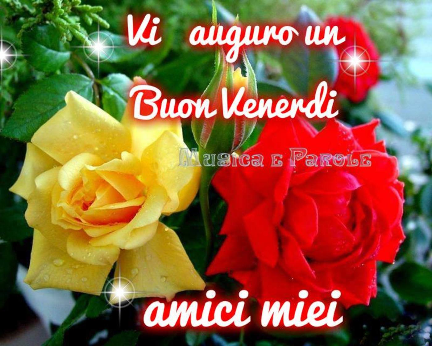 Buon venerdì amici miei