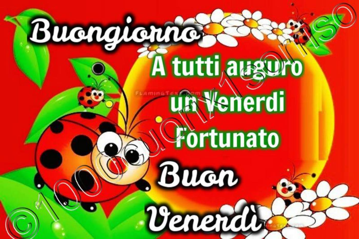 Buon venerdì con animali