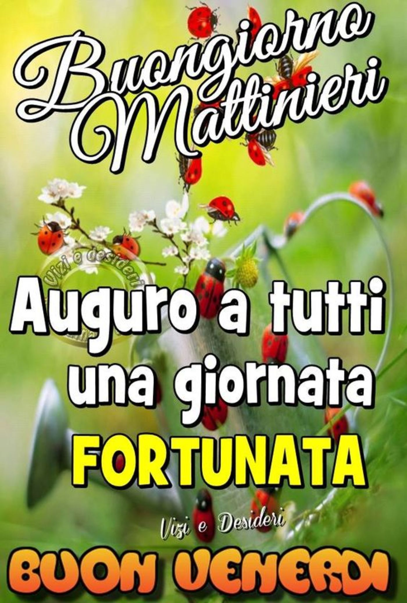 Buon venerdì con belle frasi (4)