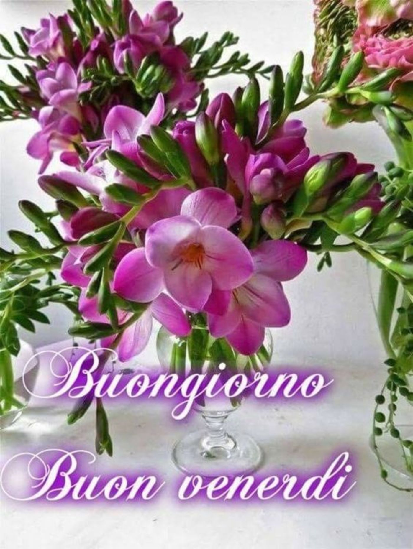 Buon venerdì con fiori (3)