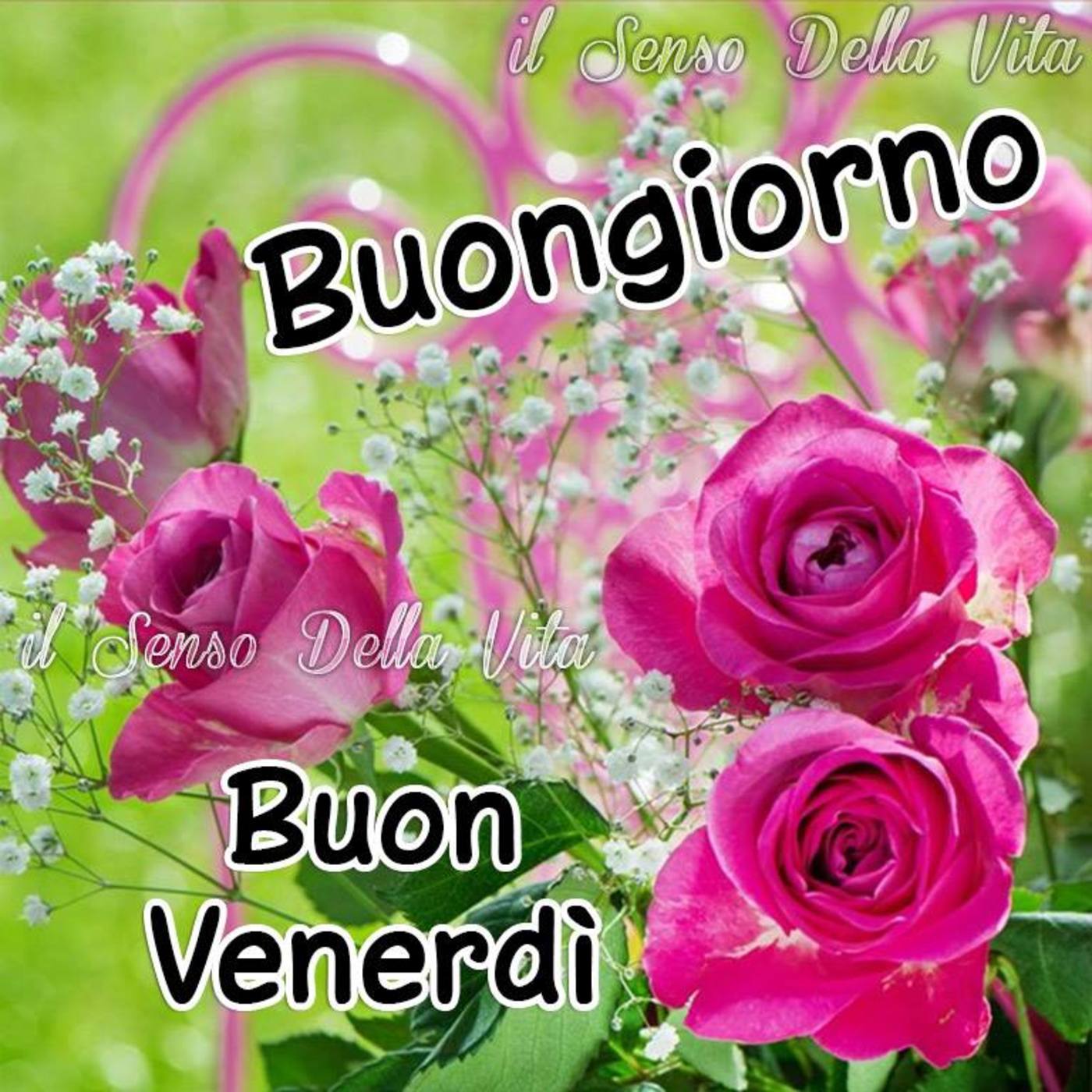 Buon venerdì con fiori