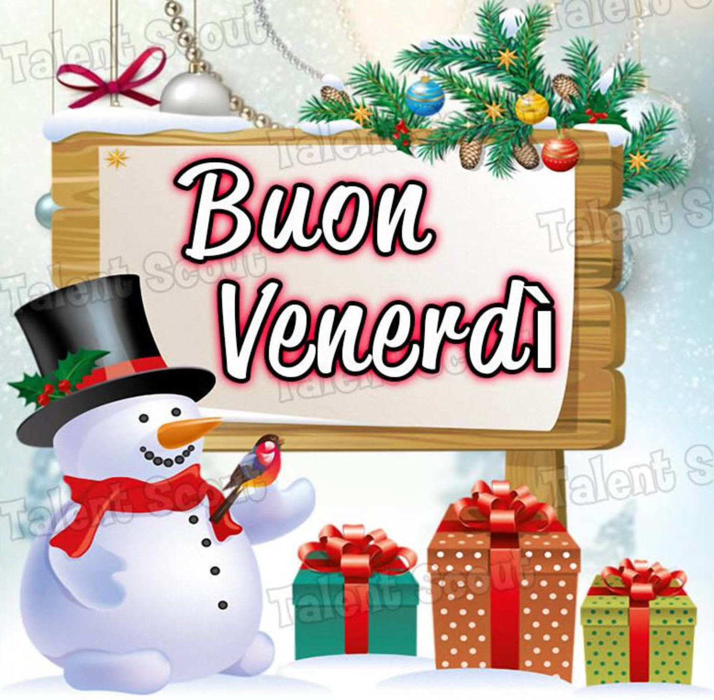 Buon venerdì con la neve (4)