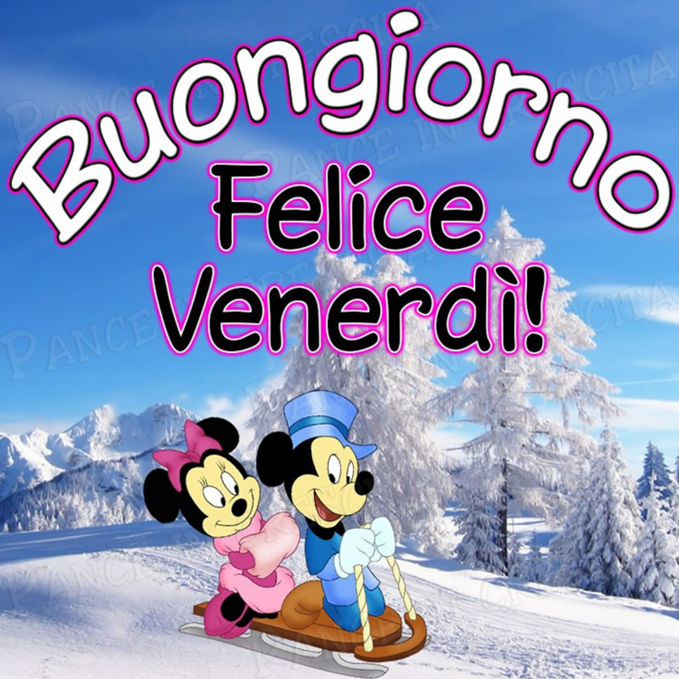 Buon venerdì con la neve