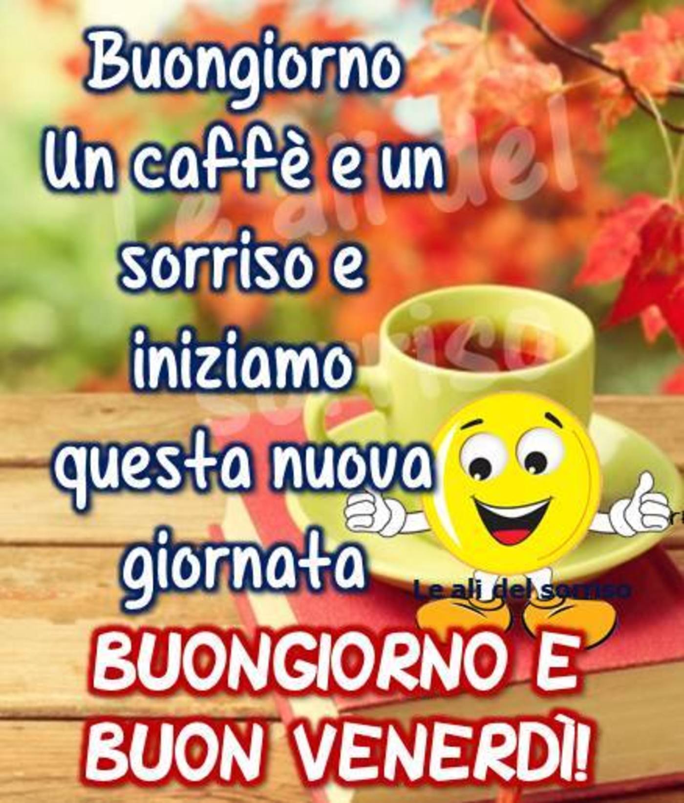 Buon venerdì con le frasi (3)