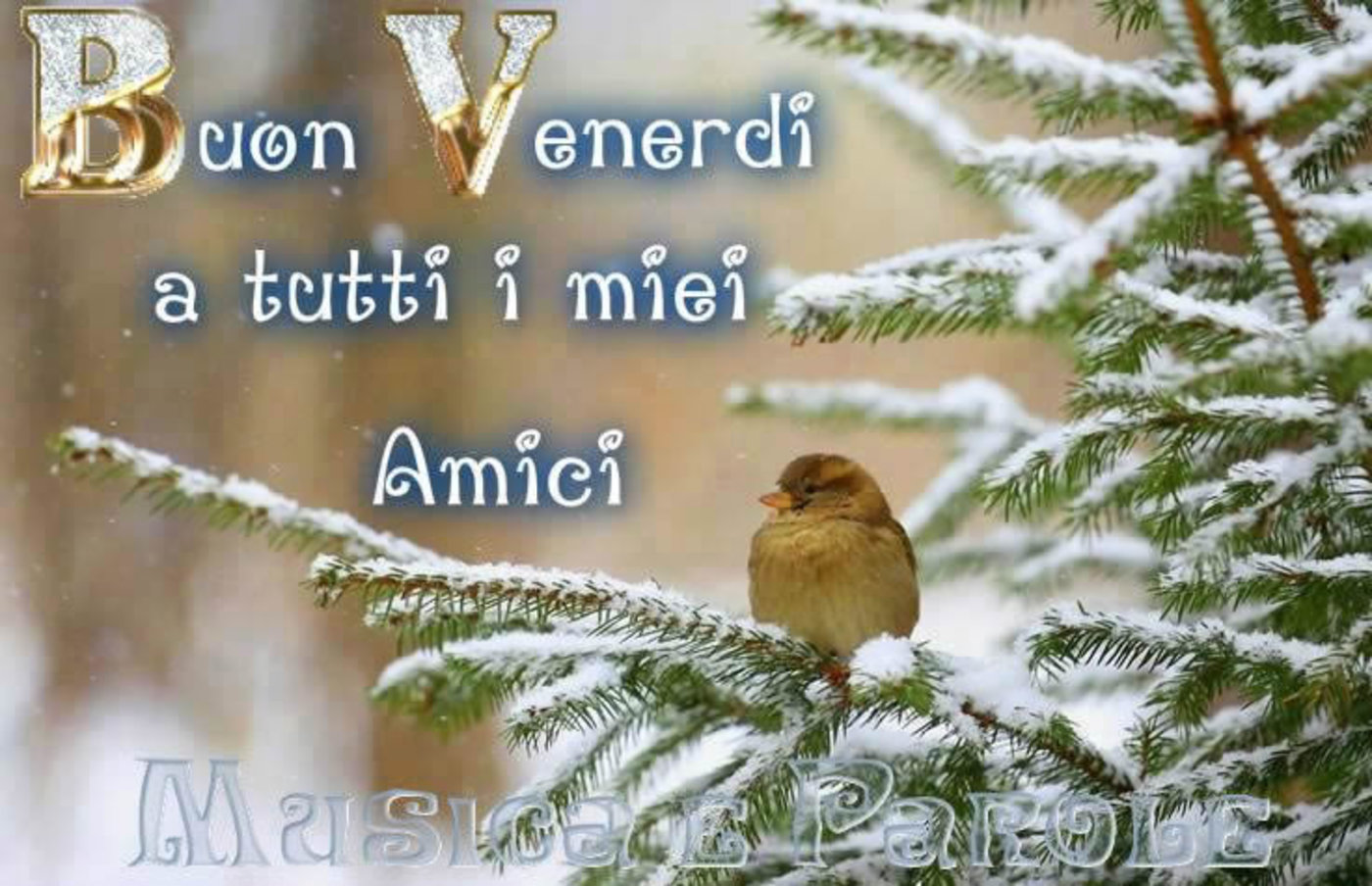 Buon venerdì con neve (2)