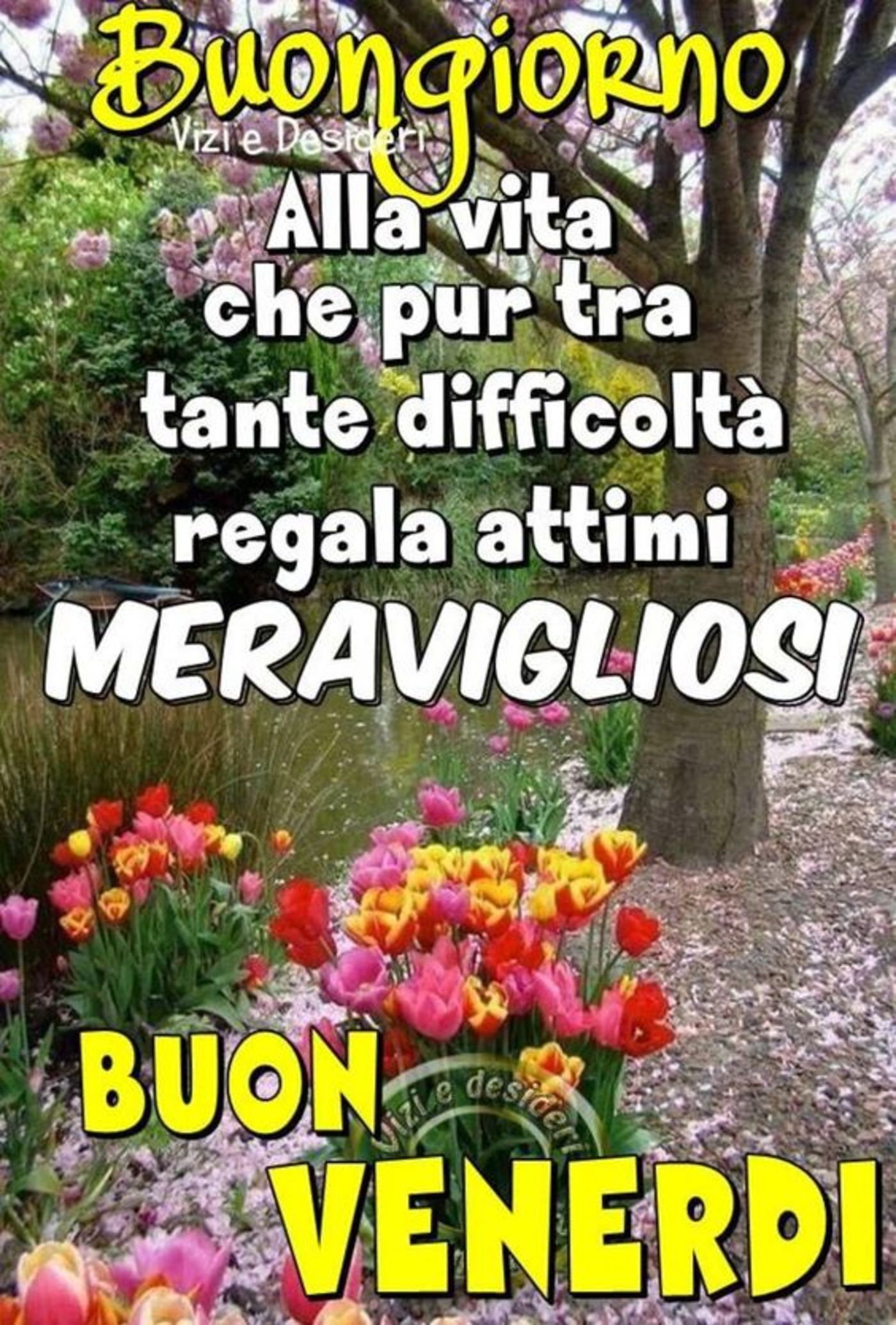 Buon venerdì e buona giornata (2)