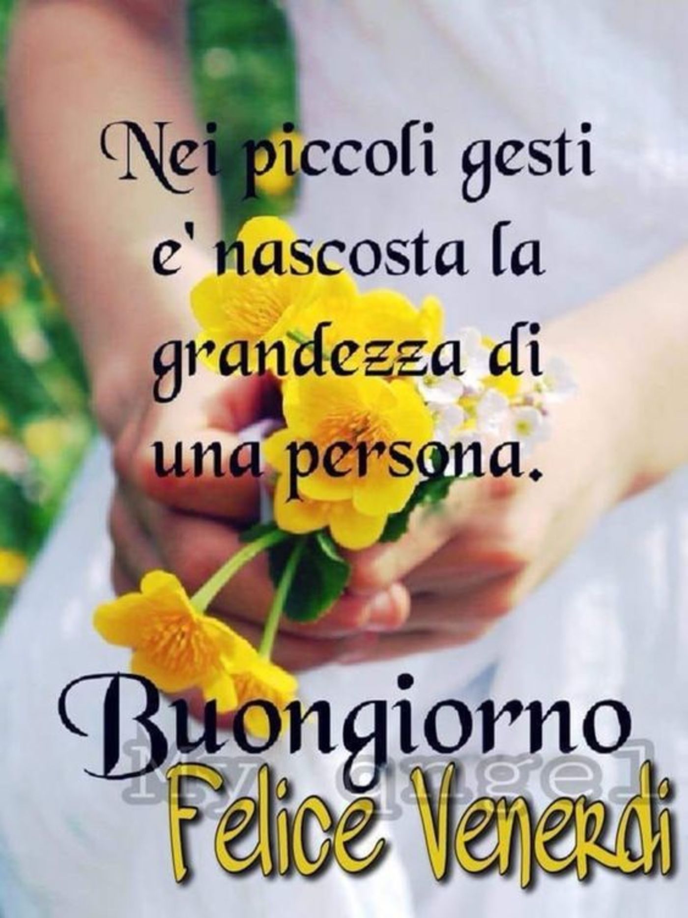 Buon venerdì frasi belle