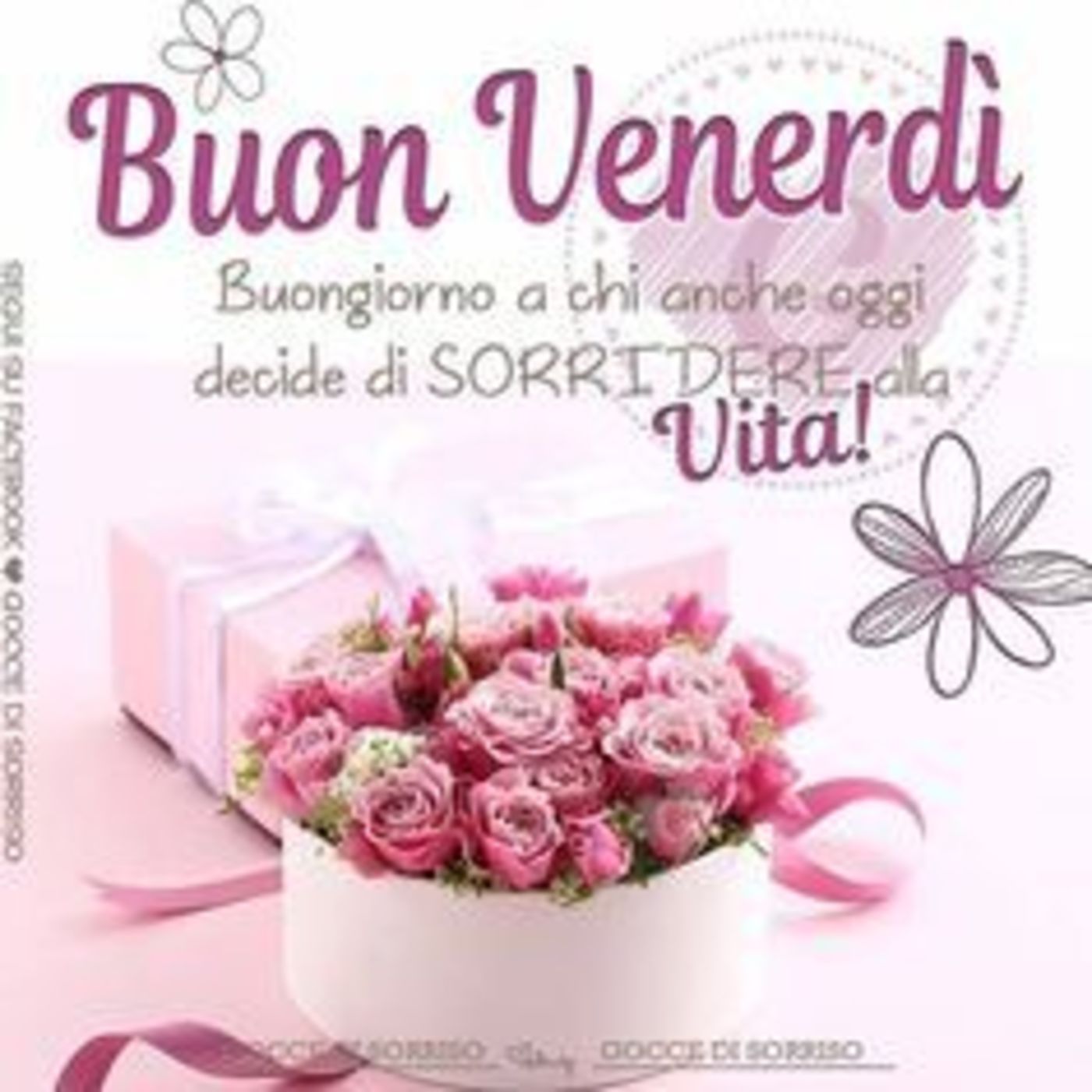 Buon venerdì immagini nuove con i fiori (4)